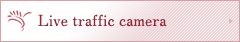 Live traffic camera